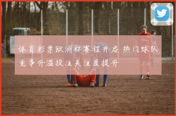 体育彩票欧洲杯赛程开启 热门球队竞争升温投注关注度提升