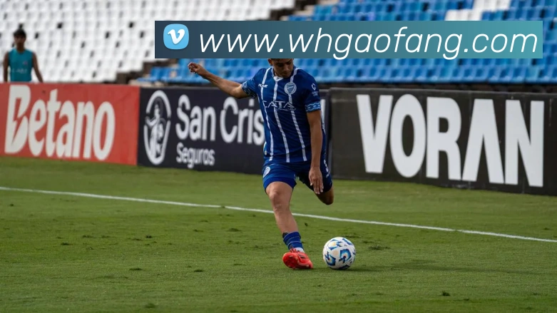 登录器